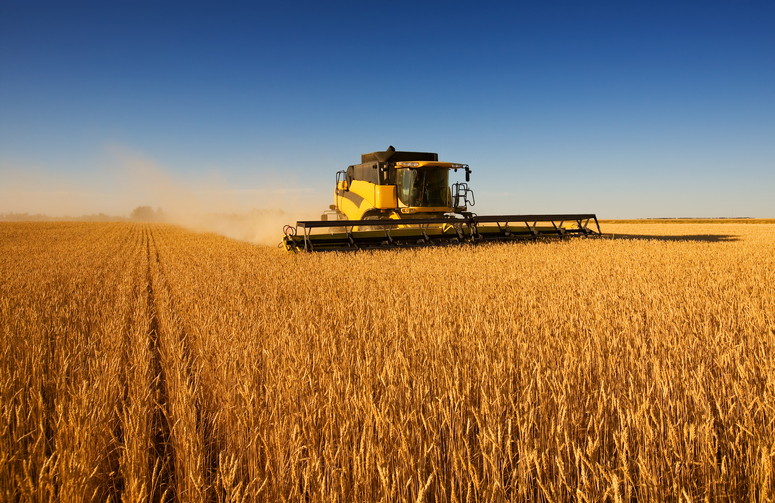 Máquina agrícola colhendo soja