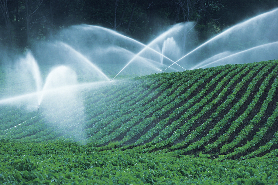 Irrigação no campo